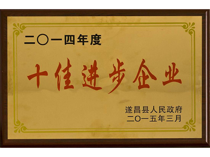 大金莊2014年度十佳進(jìn)步企業(yè)