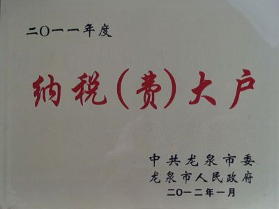 2011年納稅大戶