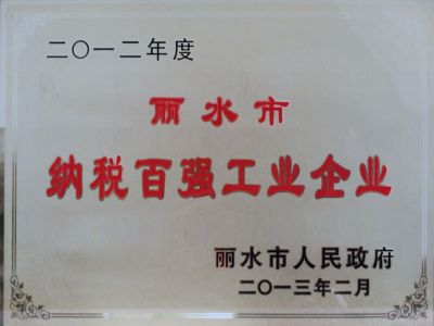 2012年麗水納稅百?gòu)?qiáng)企業(yè)