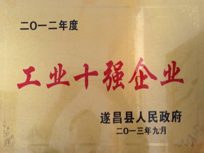 2012年遂昌工業(yè)十強(qiáng)企業(yè)